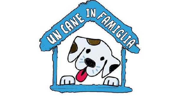 Rai 1 launches a new factual show Un Cane in Famiglia