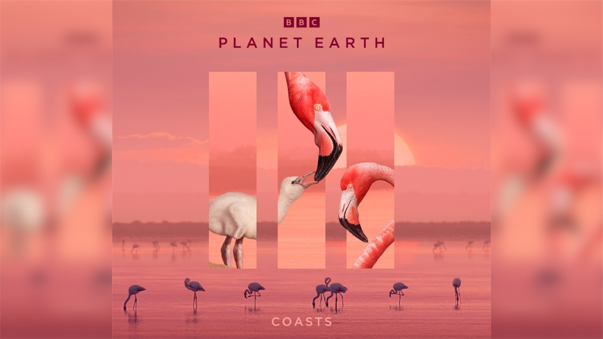 Planet Earth III: Iconic BBC Event Series on Rete 4 