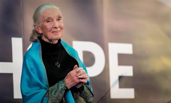 Autentic Studios announces the start of filming for “The Science of Hope” with Jane Goodall