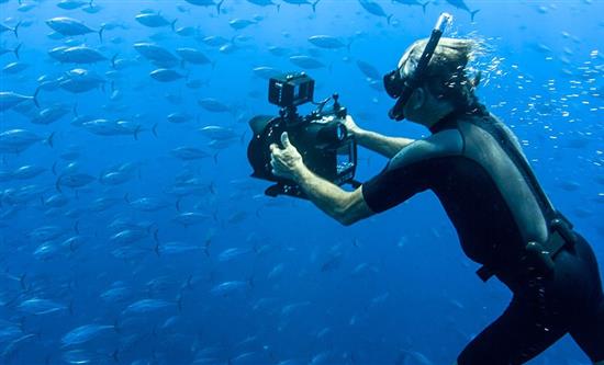 ORF-Enterprise’s Superfish – Wild Salmon Wins Environment Award at International Ocean Film Festival