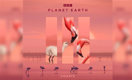 Planet Earth III: Iconic BBC Event Series on Rete 4 