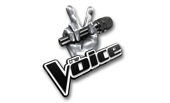 The Voice France wraps up a spectacular tenth season